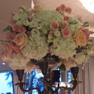 Meet your Posher, Jacquie